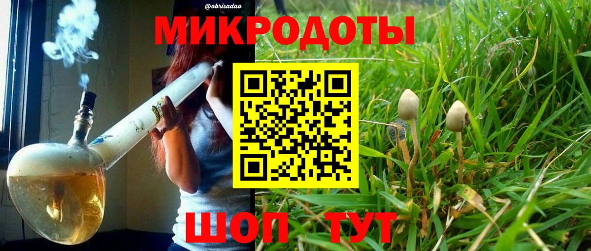 Псилоцибиновые грибы Psilocybe Нефтекамск