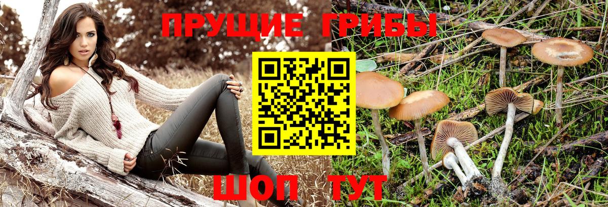 Нефтекамск  Псилоцибиновые грибы мухоморы  Вход с VPN 